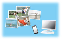 ネットプリント